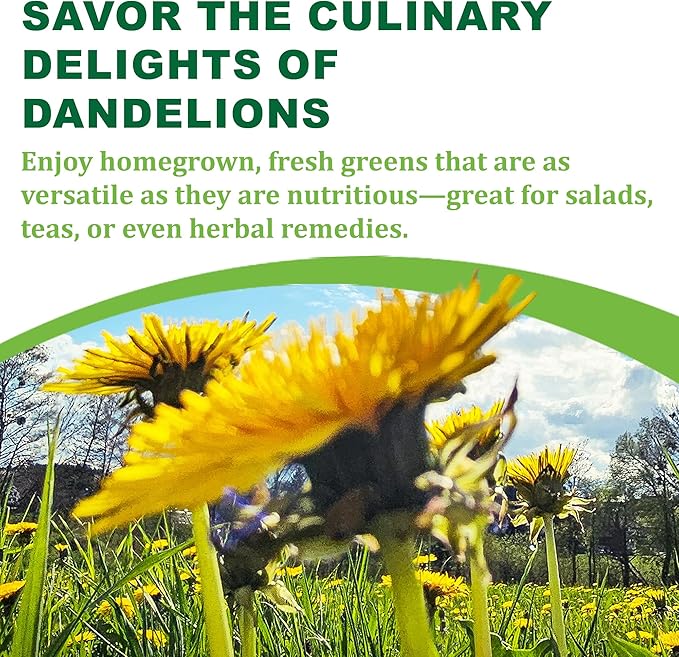 TKE Farms & Gardens - Dandelion Seeds for Planting, 500 Mg, 500+ Non-GMO, Heirloom Seeds, Produces Medicinal Greens & Edible Flowers, Supports Wildlife & Pollinators, Herbal Teas