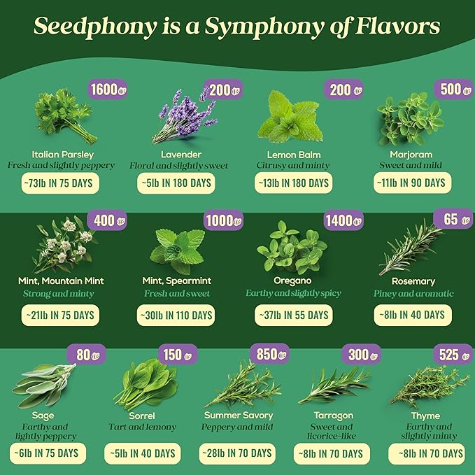 25 Culinary Classic Herb Seeds Variety Pack - 13,055+ Non-GMO Heirloom Herbs Seeds for Planting Indoor & Outdoor: Lavender, Rosemary, Dill, Mint, Catnip, Basil - Gardening Seeds Packets