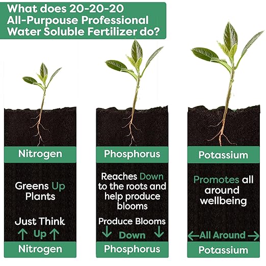 20-20-20 Water-Soluble Fertilizer – Powder for Liquid Plant Food for Indoor & Outdoor Plants, Orchids, Vegetables, Lawns, Flowers – 20 20 20 Fertilizer (2 QUARTS)