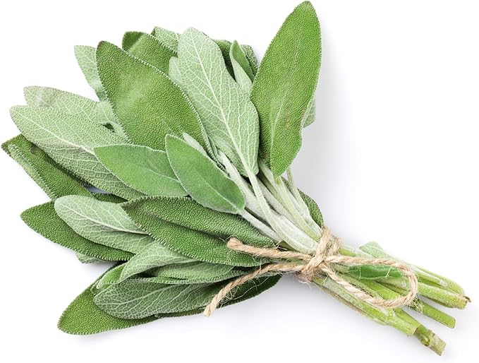 TKE Farms & Gardens - Sage Seeds for Planting - 120+ Heirloom Non-GMO Sage Seeds, Ideal for Indoor & Outdoor Gardens, Great for House Plant Seeds, Salvia officinalis, Includes Growing Instruction
