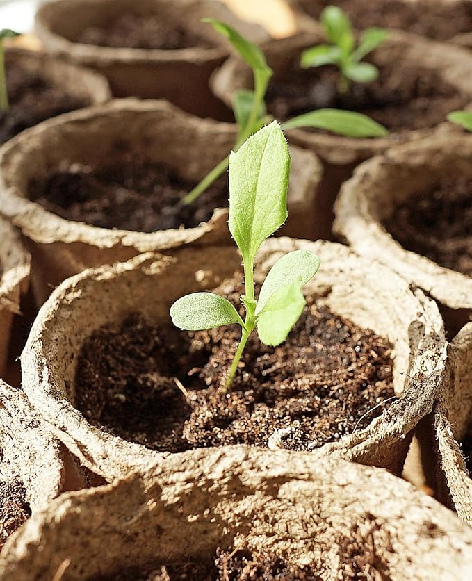 Homenote Peat Pots, 120 Pcs 4 Inch Seed Starting Pots with Drainage Holes Round Nursery Plants Pots with Bonus 20 Plant Labels