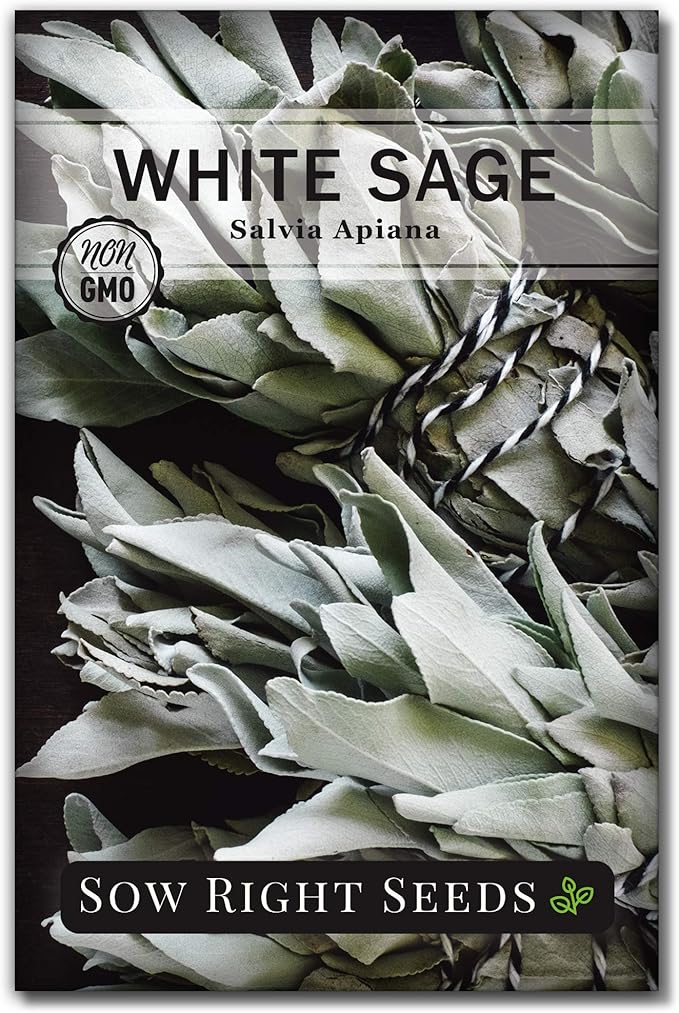 Sow Right Seeds - White Sage Seed for Planting - Non-GMO Heirloom Packet with Instructions for Planting and Growing a Home Herb Garden - Indoors or Outdoors - Make Your Own Herbal Incense (1)