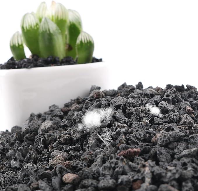 10 LB Black Lava Rocks for Plant Decorative Landscaping for Cacti Succulents Plants, Bonsai, and Terrarium Plants,…