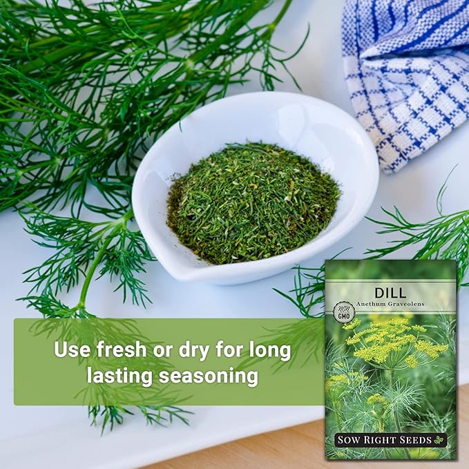 Sow Right Seeds - Dill Seed for Planting - Non-GMO Heirloom Packet with Instructions to Plant and Grow Herb Garden - Indoors or Outdoors - Homemade Dill Pickles - Wonderful Companion Plant (2)