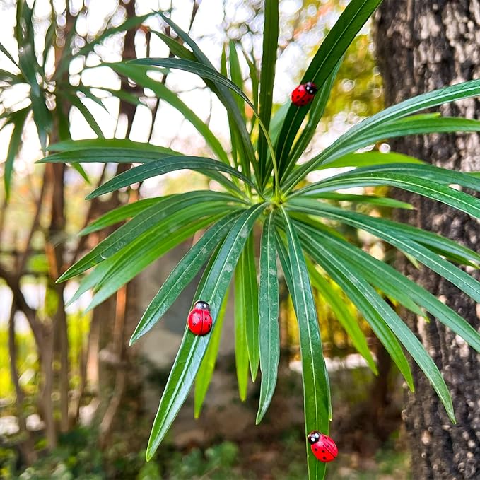 8pcs Plants Magnets Tiny Ladybug Pins Charms Funny Potted Plant Safe Magnets Cute House Plant Accessories,Christmas Decoration Gift for Plants Lovers (Ladybug)