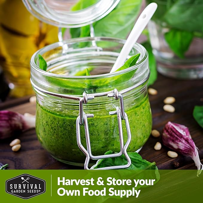 2 Packs Watercress Seed for Planting - Packet with Instructions to Grow Nasturtium officinale in Your Home Vegetable Garden - Non-GMO Heirloom Variety - Survival Garden Seeds