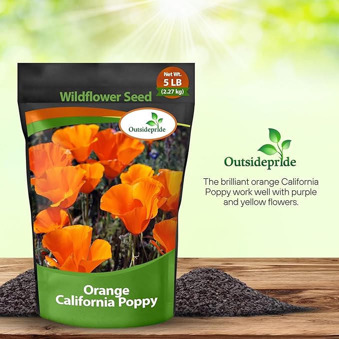 Outsidepride Eschscholzia Orange California Poppy Seeds - 5 lbs. Annual, Native, Drought Tolerant Wildflower Seeds w/Vibrant Blooms for Full Sun & Drought-Tolerant Pollinator-Friendly Gardens