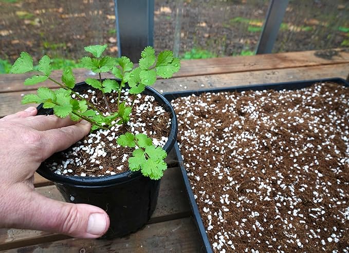 Happy Trees Coco Coir and Perlite 70/30 Growing Medium, Potting Mix, Seed-Starting, Premium Quality Triple-Washed for Low Salt/EC, pH Balanced Loose Coconut Fiber, Peat-Free, 50L (1.8 cu.ft.)