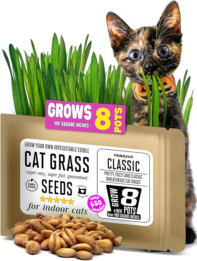 Cat Grass Seeds – Soft, Tasty Wheatgrass – Grows 8 Pots of Fresh Cat Grass for Indoor Cats & Kittens – Easy & Fast to Grow – Small Pack Grows 100 Square inches of Edible cat Grass Vitamunch