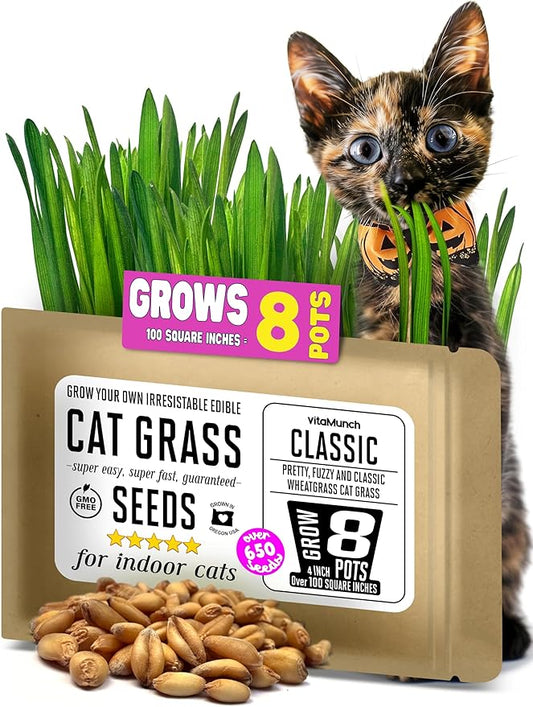 Cat Grass Seeds β Soft, Tasty Wheatgrass β Grows 8 Pots of Fresh Cat Grass for Indoor Cats & Kittens β Easy & Fast to Grow β Small Pack Grows 100 Square inches of Edible cat Grass Vitamunch