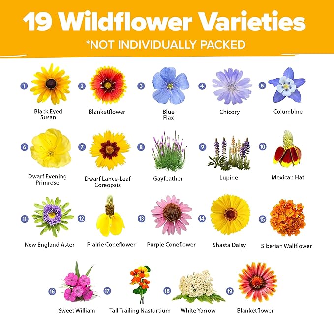 90,000 Wildflower Seeds - 3oz Pure Wild Flower Seed Pack - 25 Variety - Perennial Flower Seeds for Attracting Birds & Butterflies - Open Pollinated, Flower Garden Seeds for Planting Outdoors