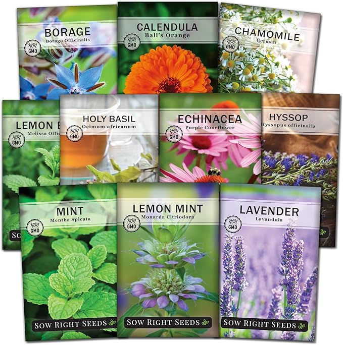 Sow Right Seeds - Large Herbal Tea Garden Seed Collection for Planting - Lemon Balm, Mint, Chamomile, Lavender, Echinacea, Borage, Hyssop, Calendula, and Holy Basil Tulsi - Non-GMO Heirloom to Grow