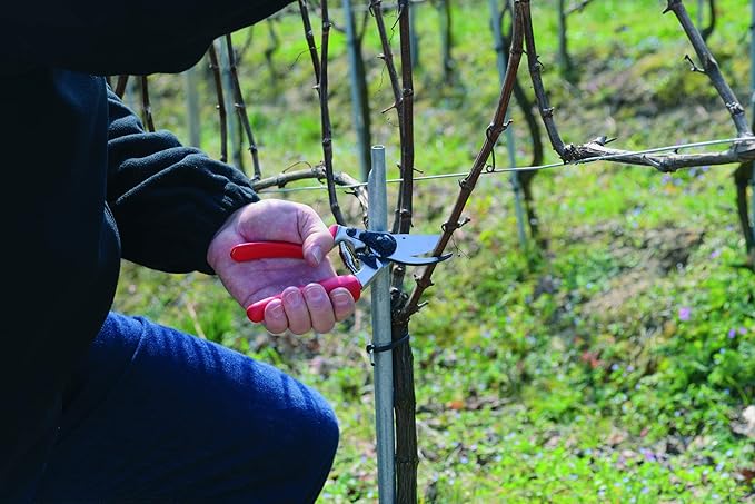 Felco Pruning Shears (F 17) - High Performance Swiss Made Left-Handed One-Hand Garden Pruner with Steel Blade