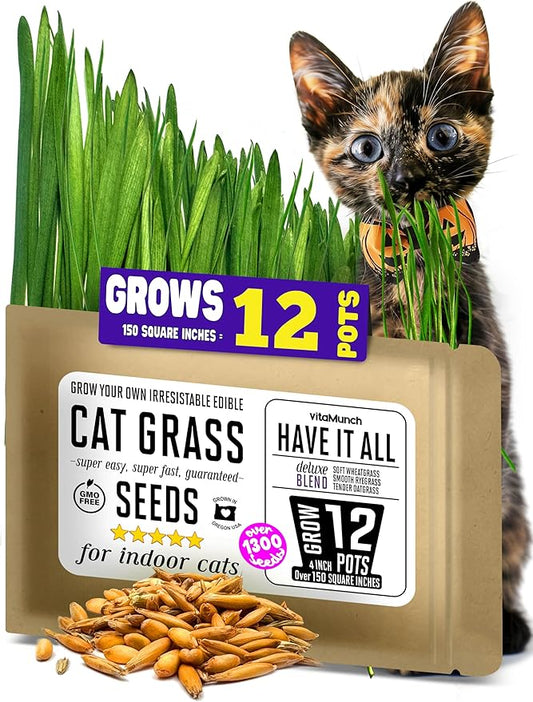 Cat Grass Seeds Deluxe Blend β Tender, Smooth and Chonky β Grows 12 Pots of Fresh Cat Grass for Indoor Cats β Easy & Fast to Grow Small Pack Grows 150 Square inches of Edible cat Grass β Vitamunch