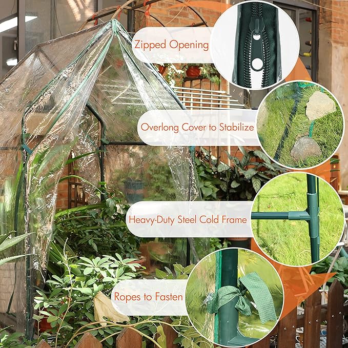 Gardzen Mini Greenhouse Heavy Duty Portable Green House, Clear Tent Small Greenhouse for Indoor Outdoor Plants 36.2”(L) x36.2”(W) x59.5”(H)