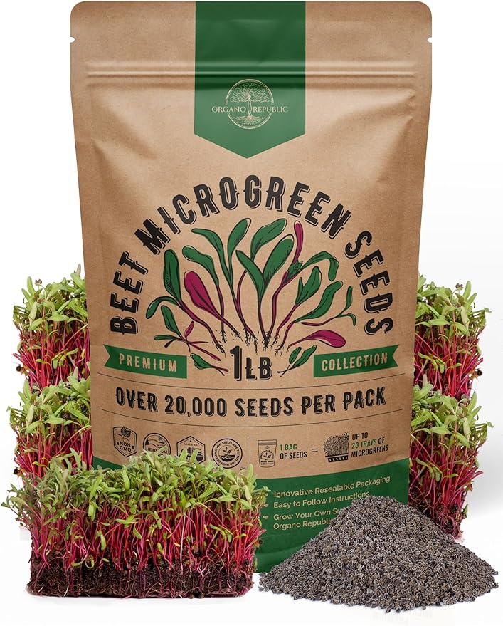 Organo Republic Beet Sprouting & Microgreens Seeds - 20,000 Non GMO Heirloom Seeds, Sprouts in Bulk 1lb Resealable Bag for Planting and Growing in Soil, Coconut Coir, Aeroponic & Hydroponic System