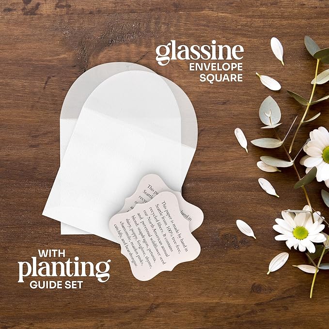 Set of 24 Pink Butterfly – Plantable Seed Paper for Weddings, Gifts, and Life Events