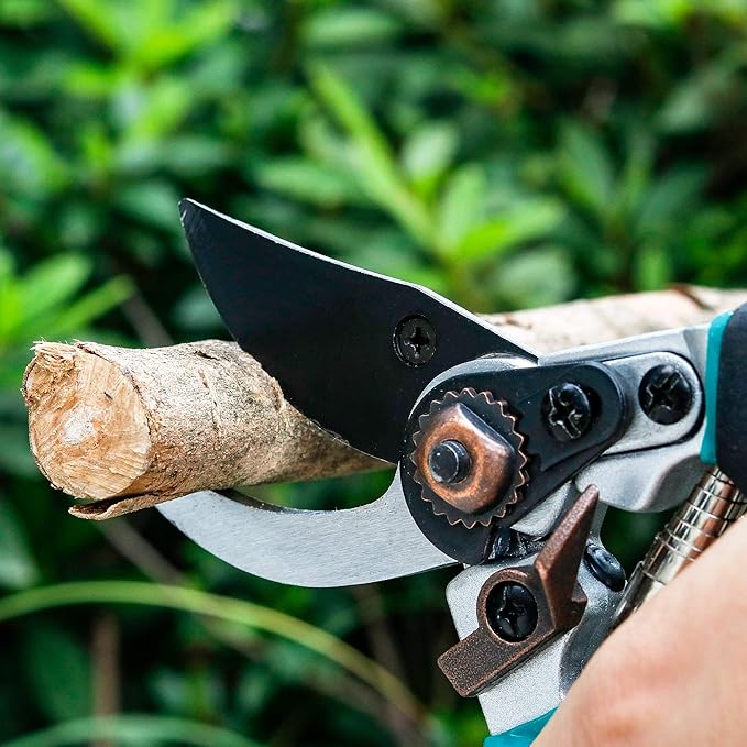 Flora Guard Pruning Shears 8.6" Bypass Garden Shears, Professional Ultra Sharp Sk5 Steel Garden Clippers, Heavy Duty Durable Ergonomic handle Plant Cutting Scissors Tools, Yard Hedge Branch Trimmer