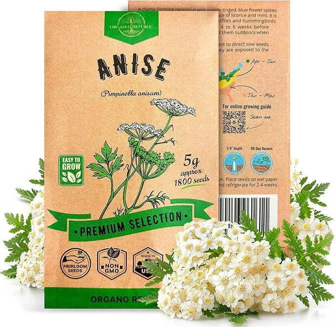 Anise Seeds Pack 5G - Over 1800 Non-GMO Heirloom Anise Seeds for Planting Herbs in Individual Seed Packet, Herbs Seeds for Planting Home Garden Indoor & Outdoor Gardening