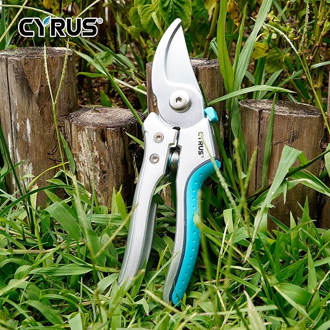 CYRUS Pruning Shears, 8" Pruning Shears Professional Steel Blades with Bypass Edge for Cutting Branches and Twigs up to 24mm in Diameter, Tool for Pruning Garden Branches and Potted Plants (00317)