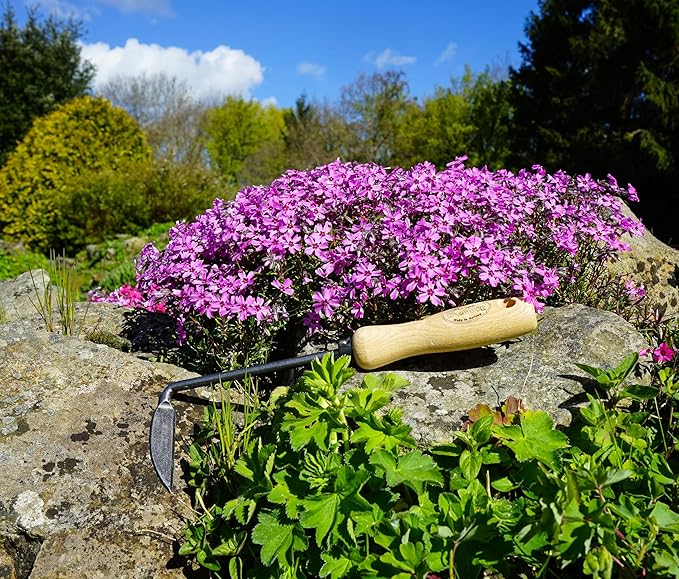 DeWit Right Hand Cape Cod Weeder with Short Handle