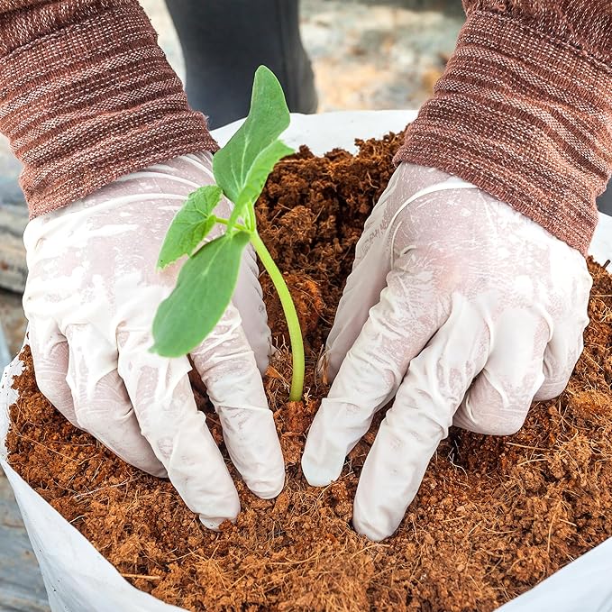 Ruralty Coconut Potting Mix - Natural Coco Coir Brick 10-Pound Coco Peat Potting Soil Indoor Plants and Outdoor