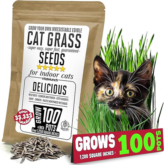 Cat Grass Seeds β Smooth Tasty Ryegrass β Grows 100 Pots of Fresh Cat Grass for Indoor Cats & Kittens β Easy & Fast β Bulk Rescuer's Pack Grows 1,250 Square inches of Edible cat Grass Vitamunch