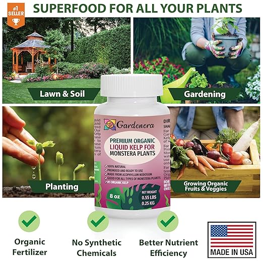 Monstera-Specific Organic Liquid Kelp Fertilizer - 16 oz - Boost Your Monstera's Growth and Leaf Development Naturally