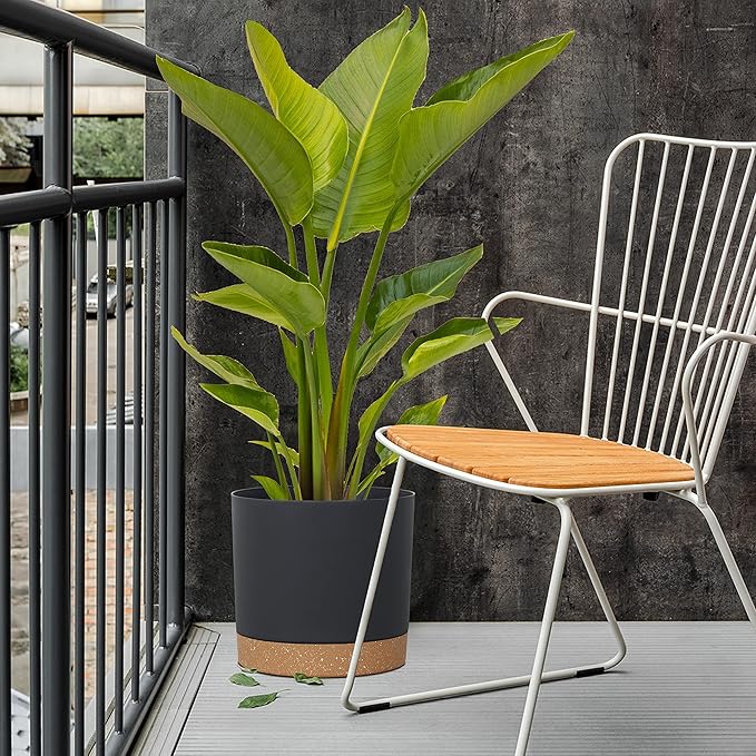 kubvici Plant Pots for Indoor Plants, 2 Pack 12 Inch Pots for Plants, Lightweight Large Planters for Indoor Plants Outdoor Plants, Big Plastic Black Plant Pot Flower Pot with Drainage (12” Black)