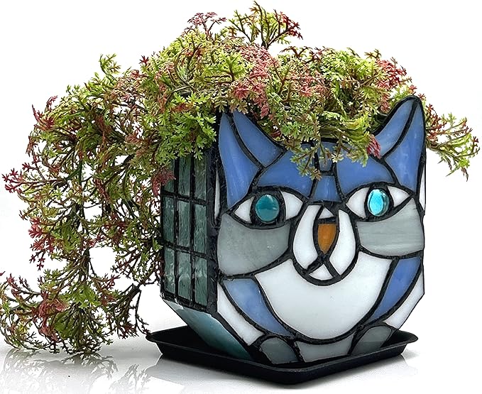 Indoor Plant Display Glass Container, Unique Pots for Plants, Glass Container Decoration,Suitable for Growing Small Plants 4.6x5.15x3 in (Excluding Plants)