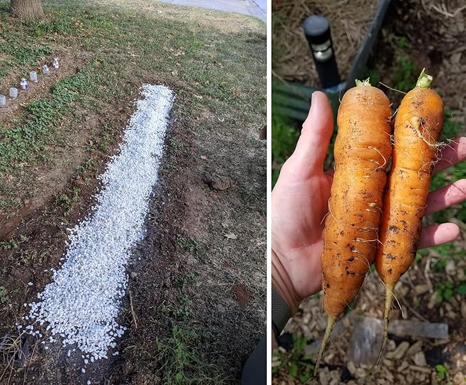 5 QT Professional Grade Horticultural Organic Perlite (5 QT, Perlite)