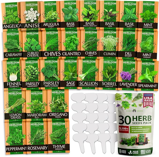 HOME GROWN 30 Herb Seeds Pack | 9,500 Non-GMO, Heirloom Seeds | Indoor & Outdoor Planting | Culinary Herb Seeds Variety Pack | HG30H Perfect for Hydroponic Gardens | Parsley, Rosemary, Thyme & More