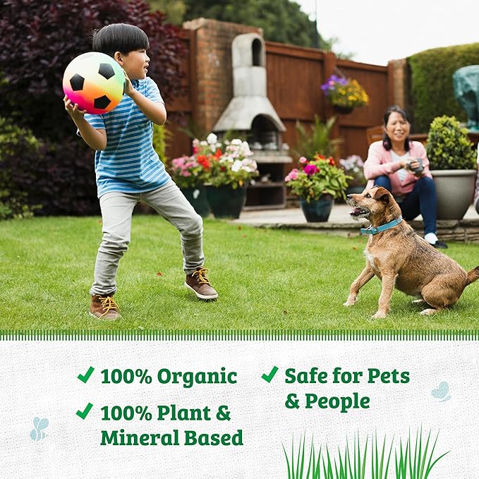 Back to the Roots 100% Organic USA-Made Liquid Lawn Food 32oz Covers 2,000 sq ft Safe for Pets and All Lawn Types
