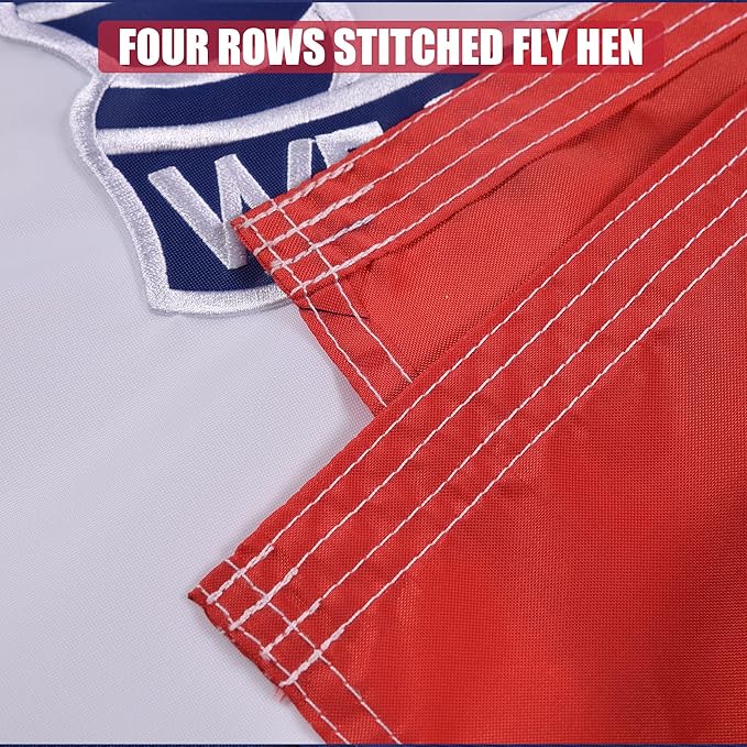 Iowa State Flag 3x5 Ft, Deluxe Full Embroidered Heavy Duty Nylon Durable IA Outside Flags, Indoor/Outdoor, Sewn Stripes and Brass Grommets