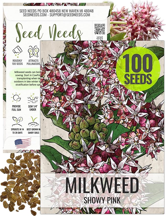 Seed Needs Showy Milkweed Seeds for Planting - Untreated & Open Pollinated, Attracts Monarch Butterflies in a Butterfly Garden (1 Pack)