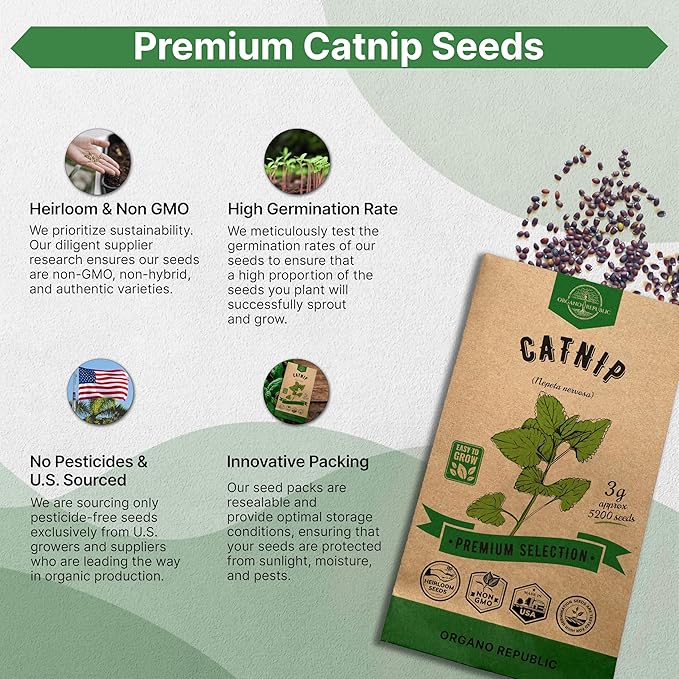 Catnip Seeds Pack 3G - Over 5,200 Non-GMO Heirloom Catnip Seeds for Cats in Individual Seed Packet, Seeds for Planting Herbs Indoors & Outdoors, Plants for Cats, Growing Fresh Catnip for Cat Health