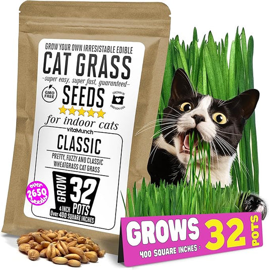 Cat Grass Seeds β Soft, Tasty Wheatgrass β Grows 32 Pots of Fresh Cat Grass for Indoor Cats & Kittens β Easy & Fast to Grow β Bulk Rescuer's Pack Grows 400 Square inches of Edible cat Grass Vitamunch