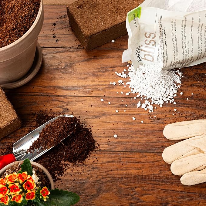 Perlite Bliss (8 Qts) - Organic Perlite for Plants - Coarse Perlite Bulk Soil Amendment - Chunky Perlite for Plants, Potting Soil, Garden Soil, & Coco Coir - Horticultural Perlite for Gardening