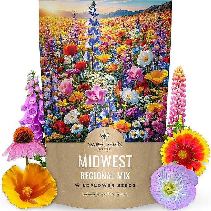 Midwest Regional Mix - Bulk 1/4 Pound Pouch - 60,000 Flower Seeds for Planting - Wildflower Mix