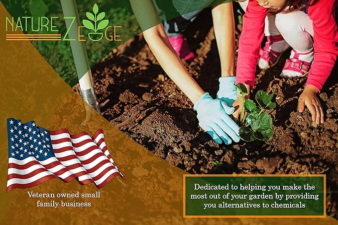 Hot Pepper Seeds for Planting, Cayenne, Hungarian Yellow, Jalapeno, Serrano, Habanero Orange, Heirloom Pepper Seeds Variety Pack, NonGMO