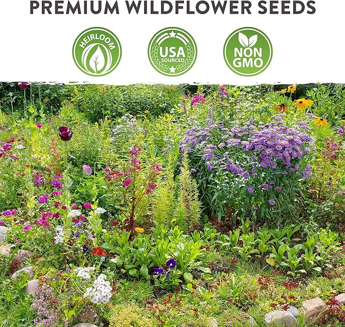 HOME GROWN 49,000+ Wildflower Seeds: (2oz) Bulk Mix, 21 Varieties Wild Flower Mix - Bee and Butterfly Garden Pack - Native Annual Flowers for Planting for Your Garden