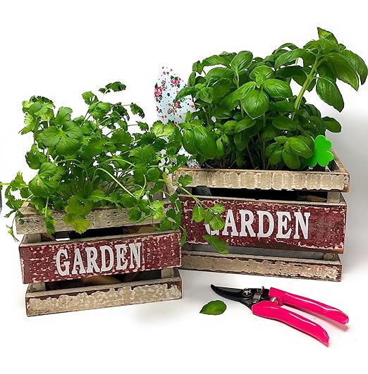 Nelson - All Vegetable Garden Plant Food, Granular Fertilizer, Multi-Purpose High Calcium Phosphorus Micronutrients in Ground, Gardens, Containers, & Greenhouses, NutriStar 12-14-11 (15 lb.)