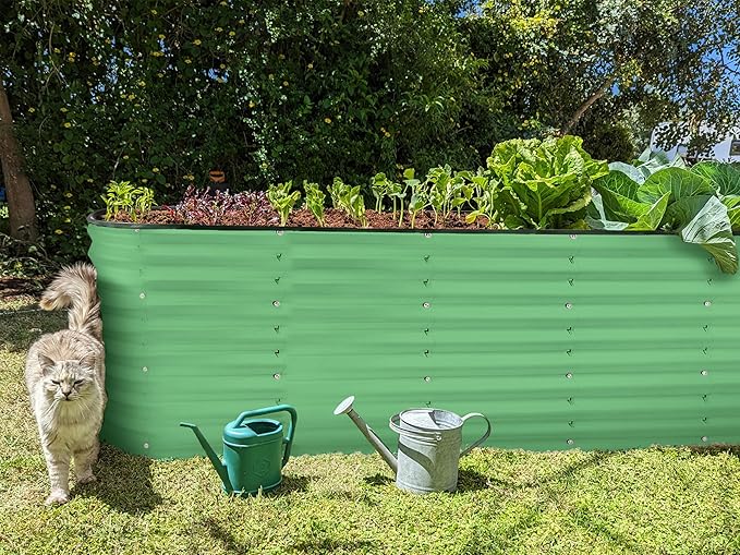 Galvanized Raised Garden Beds Outdoor // 6×2×2 ft Planter Raised Beds for Gardening, Vegetables, Flowers // Large Metal Garden Box (Light Green) // Patented Tool-Free Design