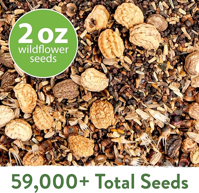 HOME GROWN 58,500+ Wildflower Seeds - Premium Birds & Butterflies Wildflower Seed Mix (2oz) Flower Garden Seeds - Bulk Wild Flowers: 23 Wildflowers Varieties of 100% Non-GMO Annual Flower Seeds