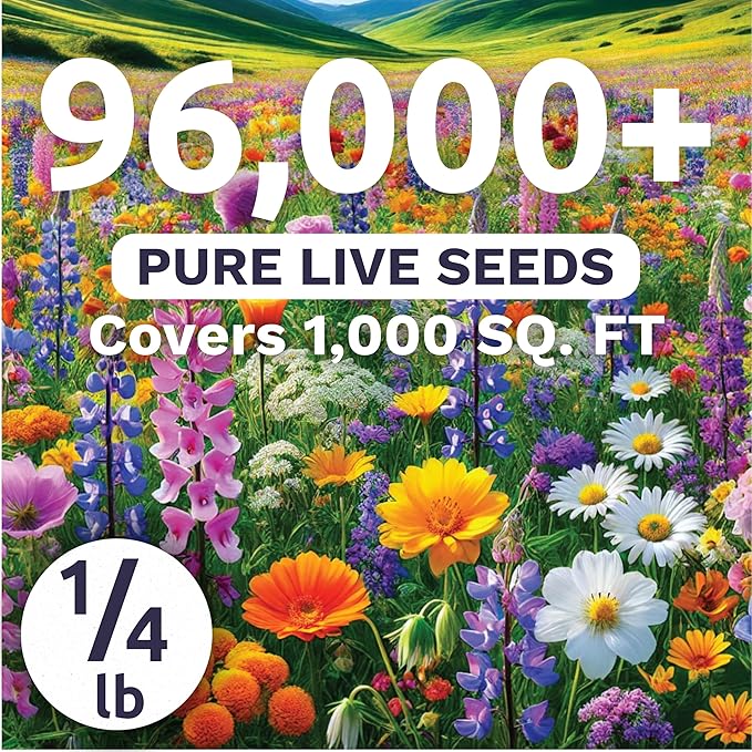 Pacific Northwest Regional Mix - Bulk 1/4 Pound Pouch - 96,000 Flower Seeds for Planting - Wildflower Mix