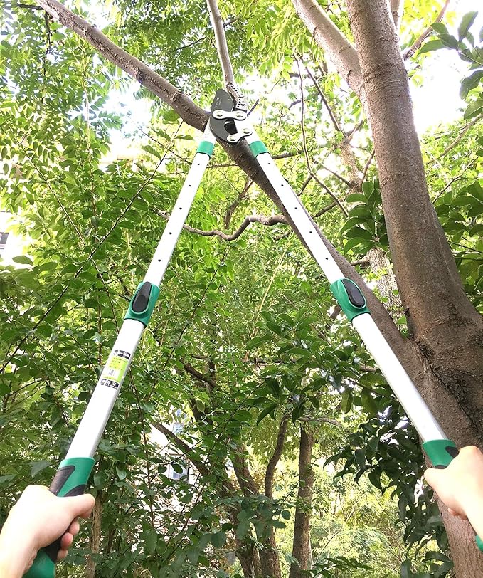 Heavy Duty Anvil Lopping Shears -2 inch Cutting Capacity Bypass Lopper - Extendable 26 Inch to 41 Inch,Professional Tree Branch Cutter