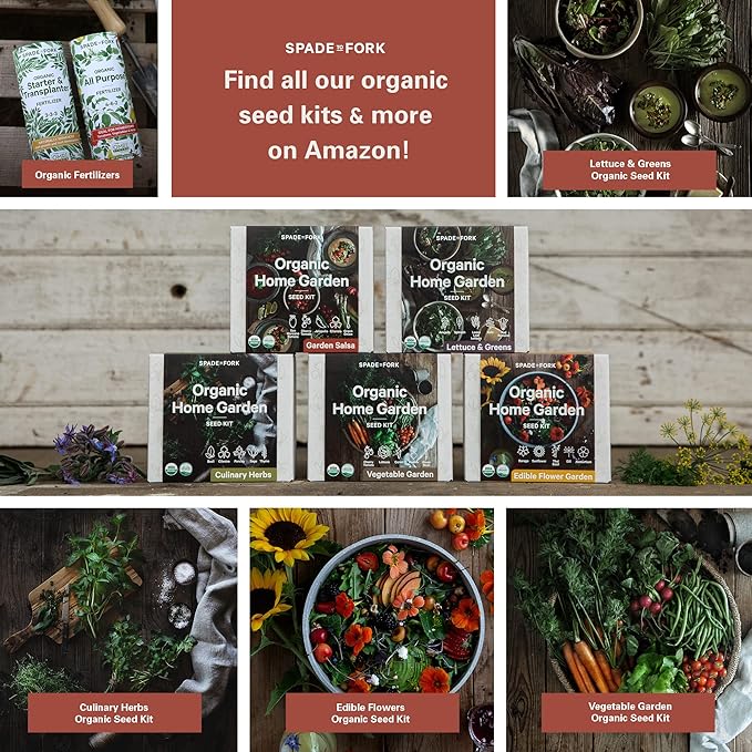 Organic Indoor Salsa Garden Starter Kit - Made in USA - Certified USDA Organic - 5 Seed Types San Marzano & Cherry Tomato, Jalapeño, Cilantro, Green Onion - Potting Soil, Indoor Herb Garden Kit