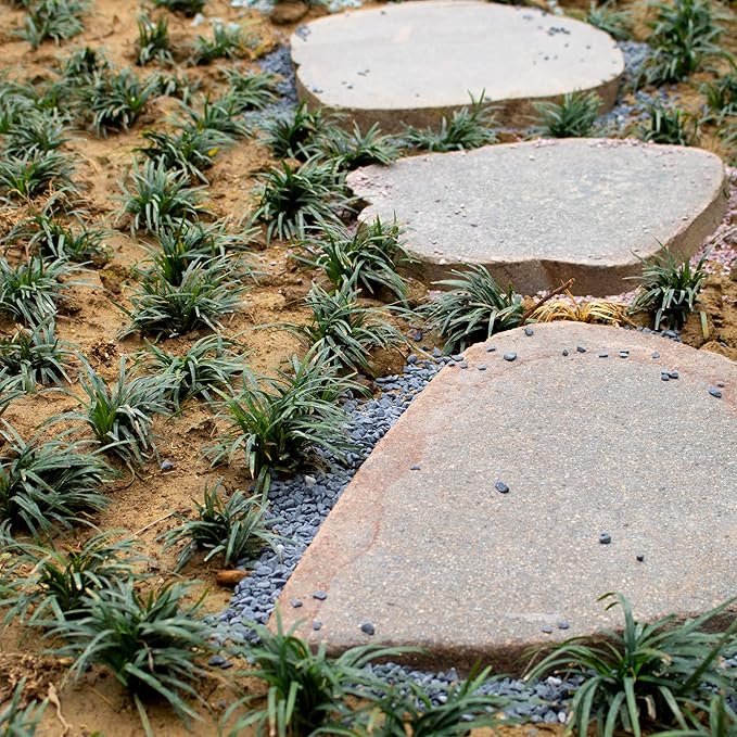 Anothera Stones for Plants, 3LB Smooth Natural Black River Rocks, Plant Aquarium Gravel Stones for Succulents Bonsai Terrarium Vase Fillers Fish Tank Indoor Outdoor Garden Decor(6-9 mm)