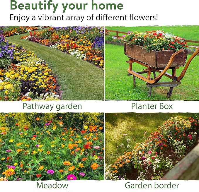 HOME GROWN 58,000+ Wildflower Seeds - Premium Texas Flower Seeds (2oz) Perennial Garden Seeds for Birds & Butterflies - Wild Flowers Bulk Seeds Perennial: 22 Varieties Flower Seed for Planting