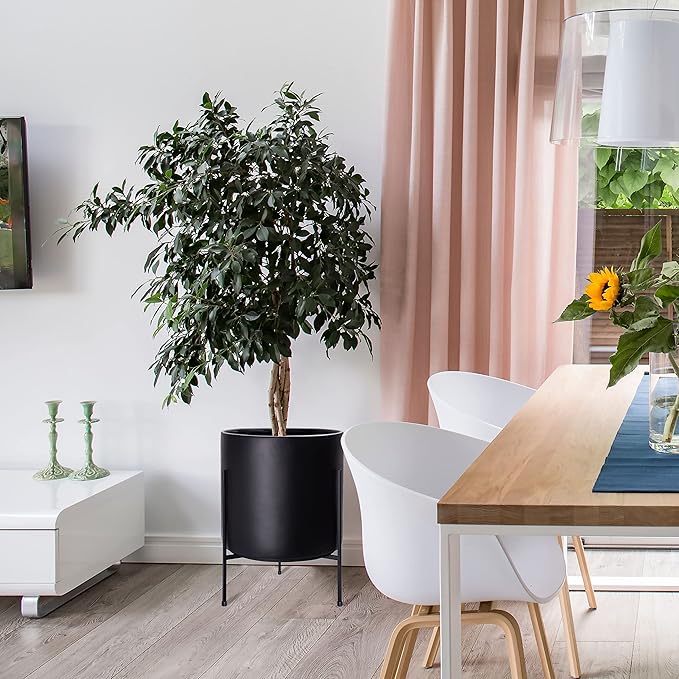 D'vine Dev Mid Century Plants Pot Cylinder Planter with Heavy Duty Stand, XX-Large 16 Inch Pot, 22.8 Inch with Stand Height, Black, 96-T-B-5